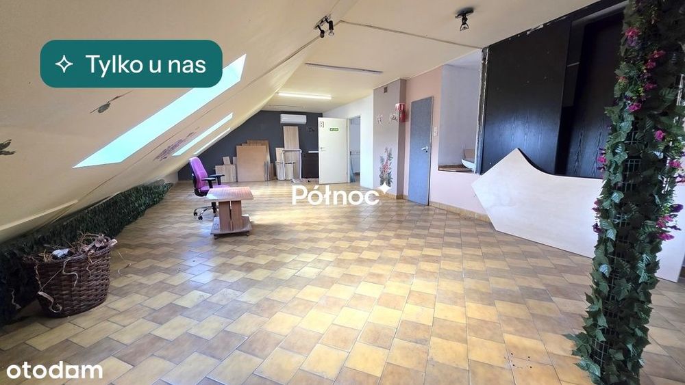Lokal z potencjałem w Alejach – duża powierzchnia