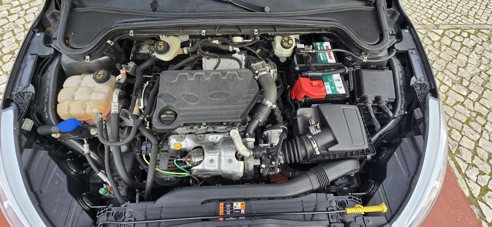 Ford Focus 1.5 sw Tdci 120cv 2019