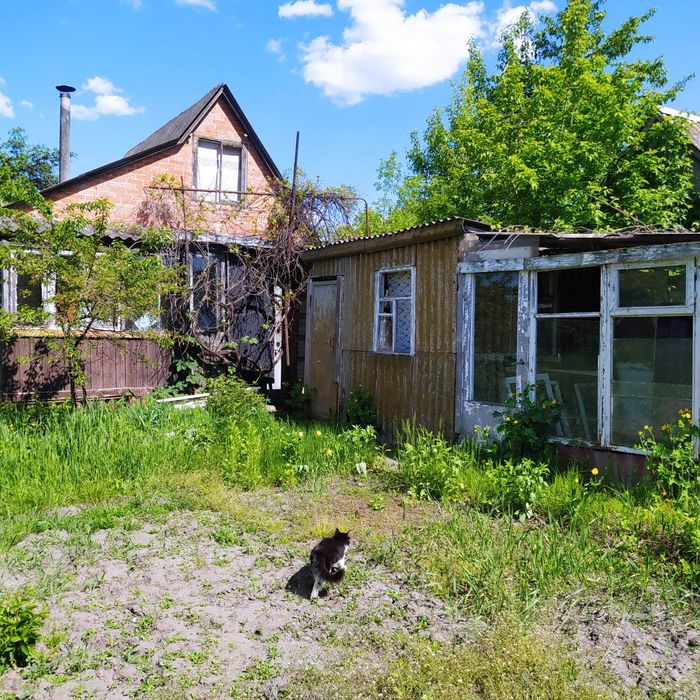 Продам Дачу в житловому секторі нашого міста