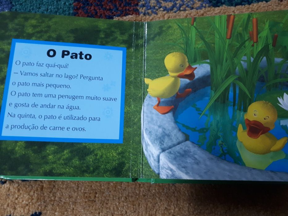 Livro na quinta do tio João