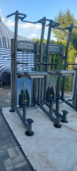 Sterling Technogym Rear Kick Hammer na Pośladki  Matrix Asystent