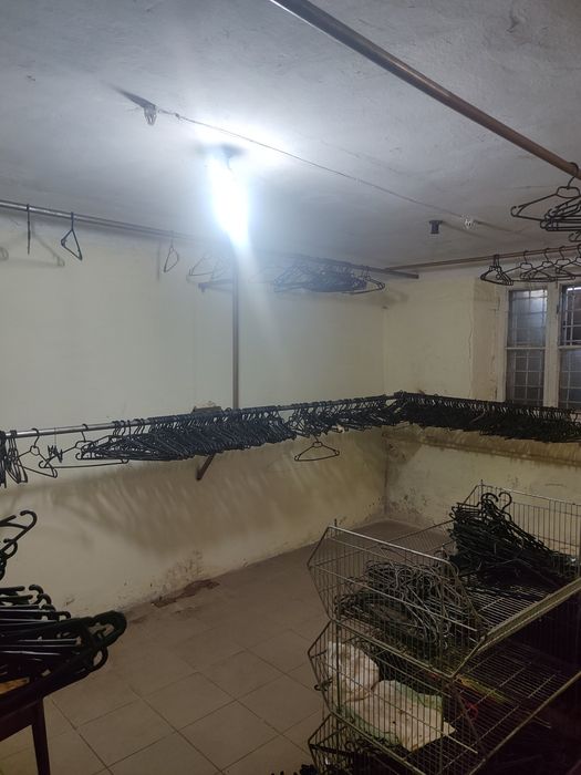 Здам підвальне приміщення під любий бізнес.