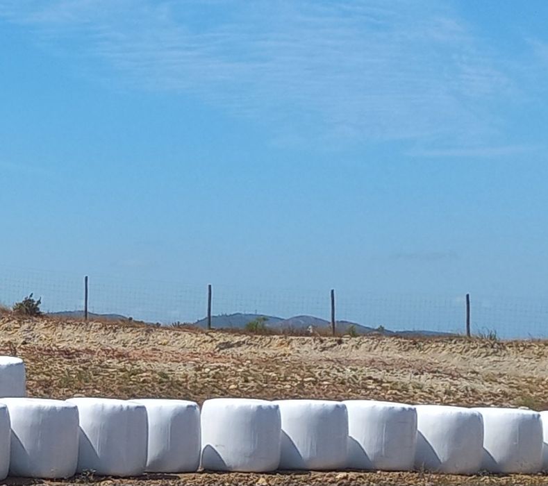 Rolos de feno silagem