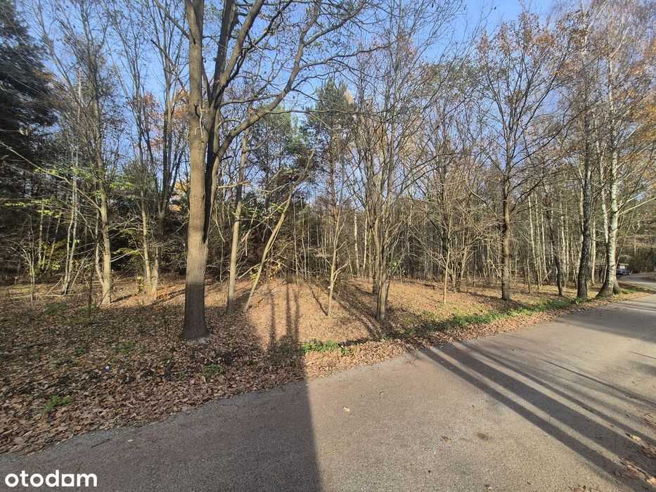 Wyjątkowa działka 7723 m² z lasem i rzeką – Złotokłos, pod rezydencję!