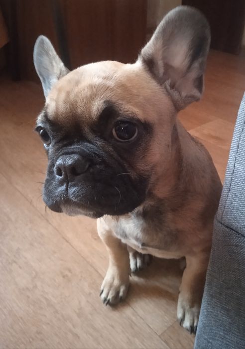 Дівчинка Нюша чукає родину