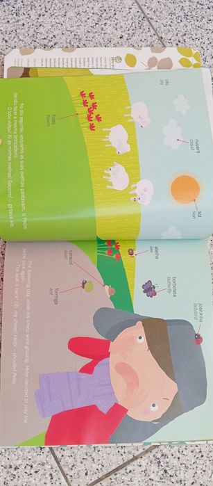 Livro aprender inglês