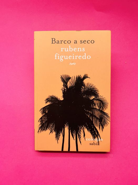 Rubens Figueiredo Barco a seco