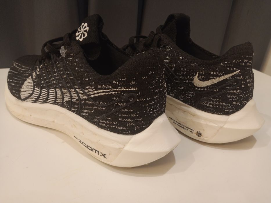 Buty Nike Pegasus Turbo next Nature rozmiar 42