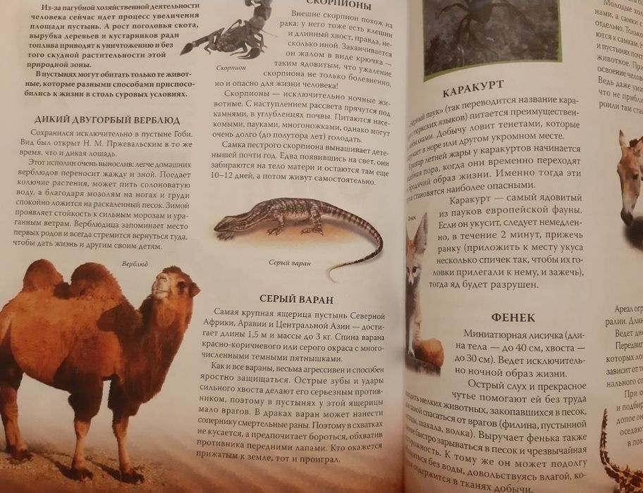 Книги детские интересные.