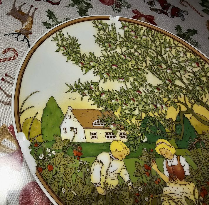 Тарілка Villeroy&Boch з нюансон