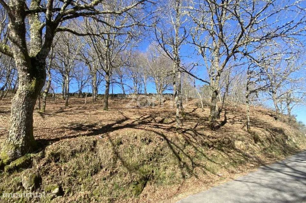 Terreno para venda em Linharelhos, Salto, Montalegre