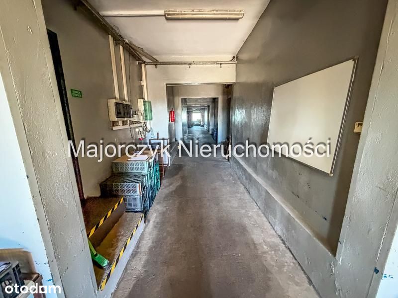 Duża nieruchomość inwestycyjna - Włoszakowice - Więcej