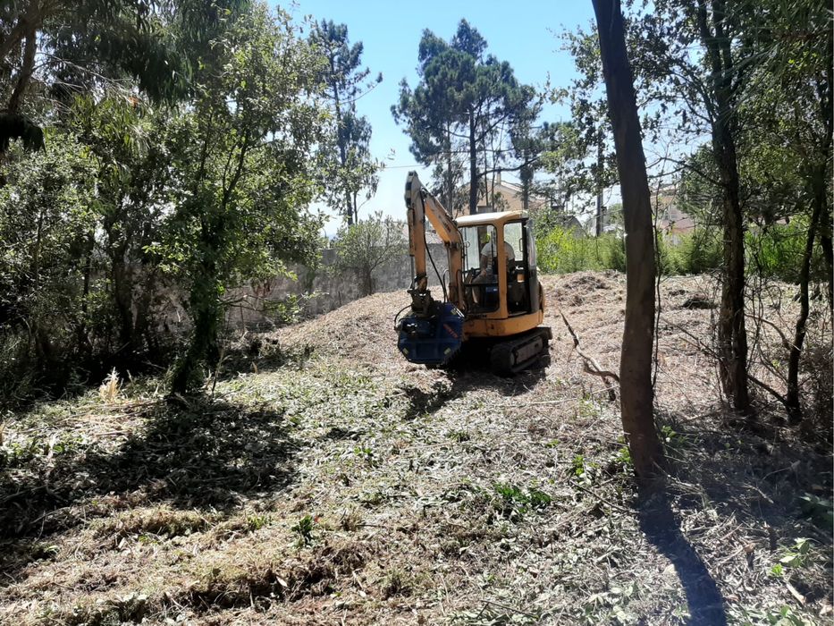 Limpeza de terrenos