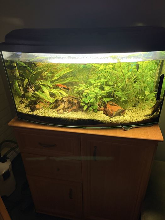 Akwarium z wyposazeniem