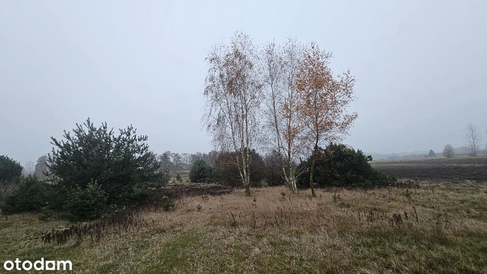 Działka o powierzchni 16800 m2