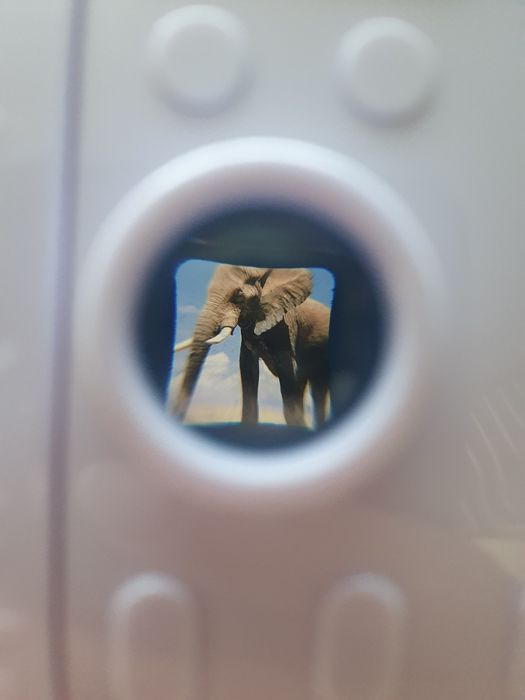 aparat fotograficzny zabawka dla dzieci smyk żyrafka discovery camera