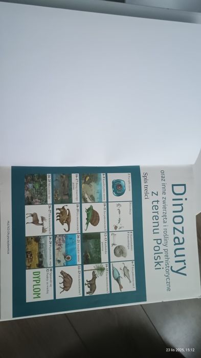 Książka Dinozaury i inne z terenu Polski