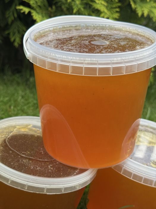 Домашній натуральний  мед