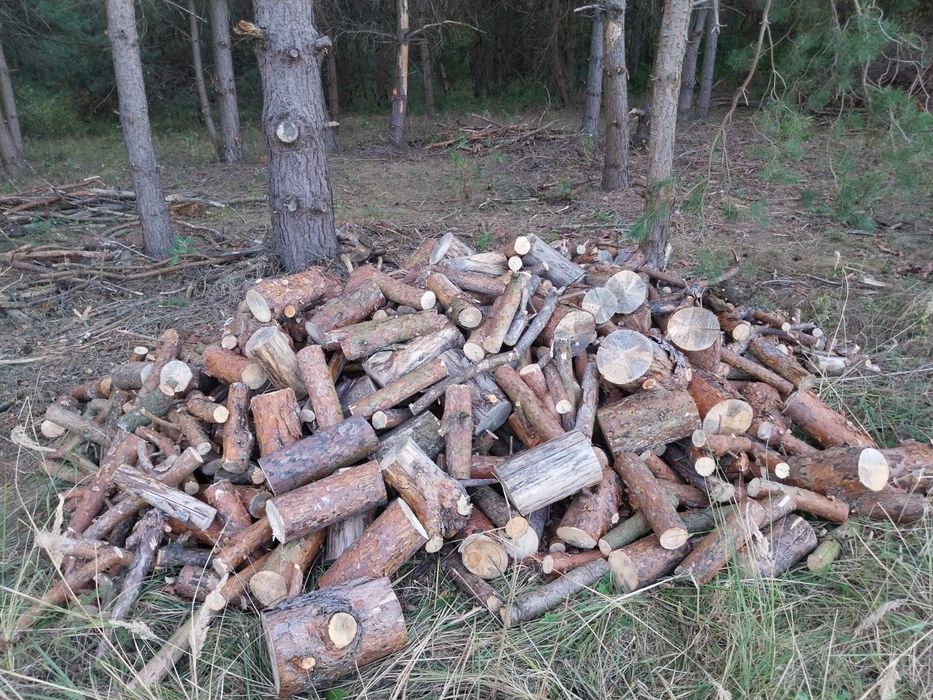 drewno opałowe suche pocięte
