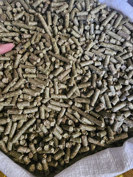 Люцерка гранульована