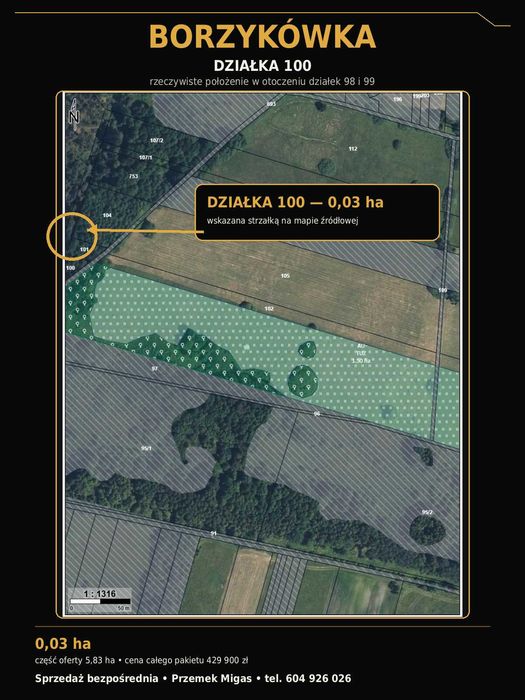 BORZYKÓWKA — 5,83 ha — 429 900 zł