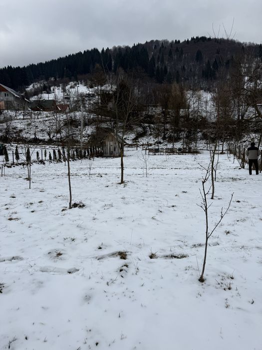 Продаж земельної ділянки с. Кваси Закарпатська обл