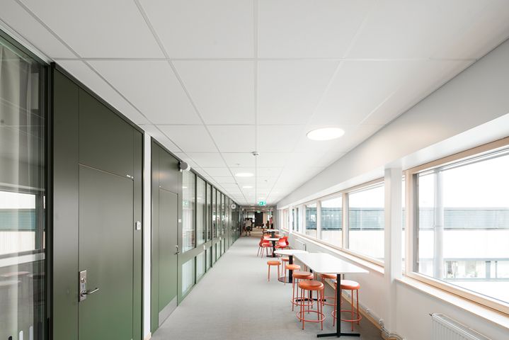Sufity podwieszane, armstrong, kasetonowe, OWA Rockfon Ecophon