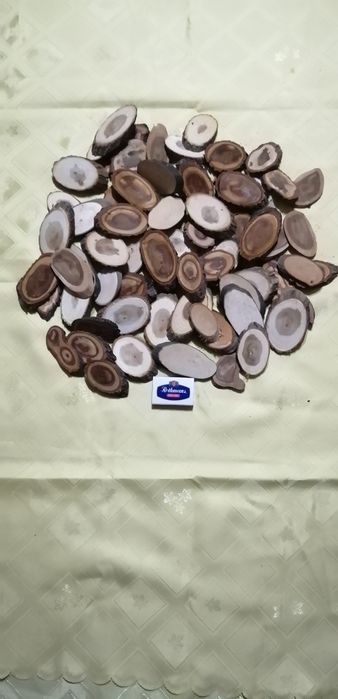 Спилы для творчества