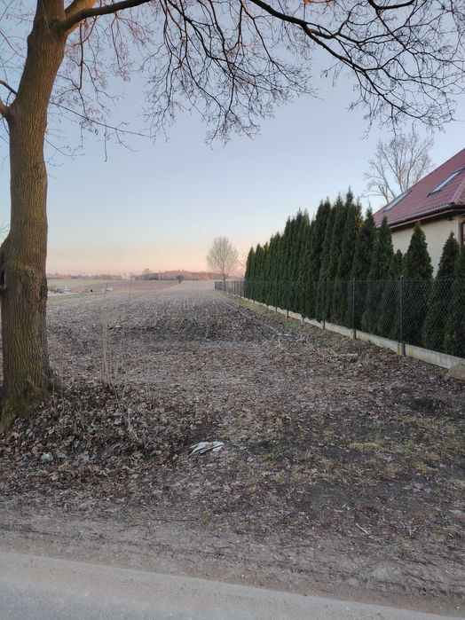 Sprzedam działkę rolno - budowlaną Wola Niechcicka Stara gm. Rozprza