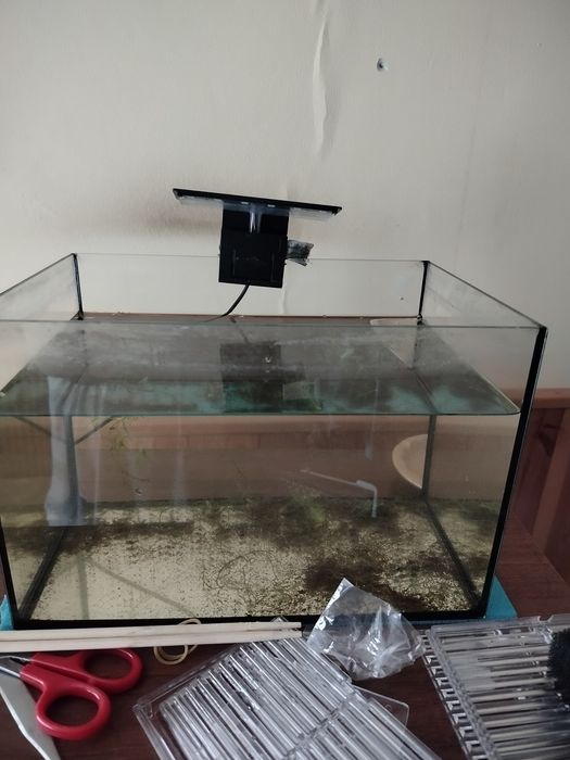 Sprzedam akwarium 12 litrów