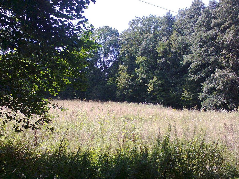 Sprzedam działkę rolno-budowlaną