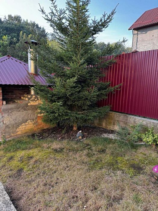 Продаж будинку. Царське озеро.