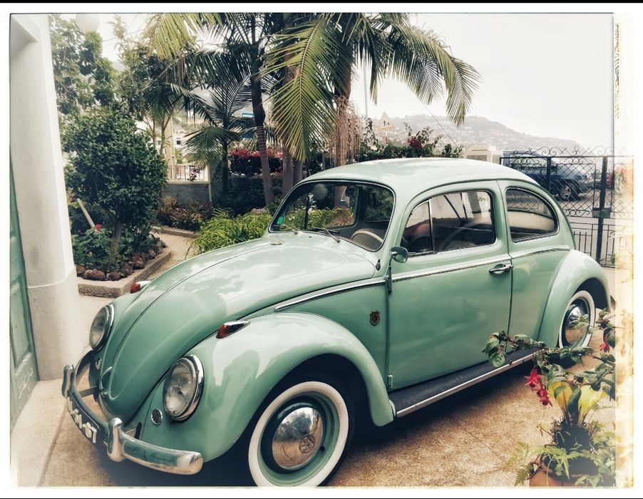 VW Carocha 1963 Imaculado | Aluguer para Casamentos e Eventos