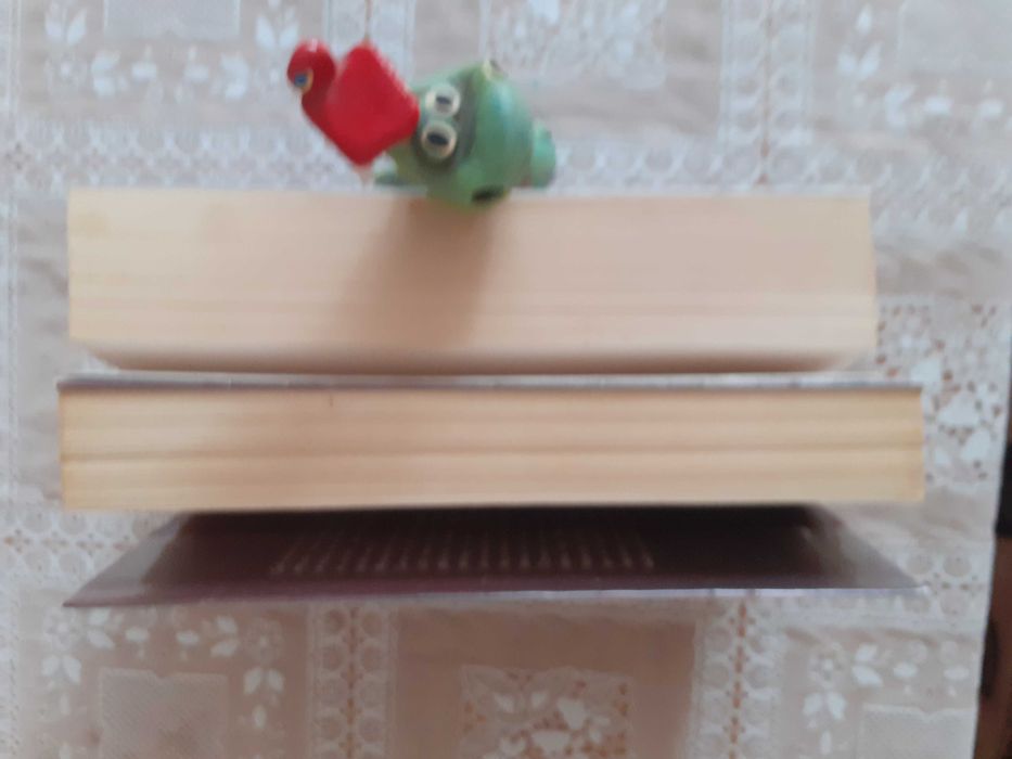 Łza i Ognista- zestaw 2 książek.