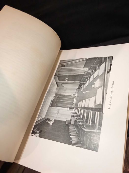 Relatório - Alfredo Coelho de Magalhães