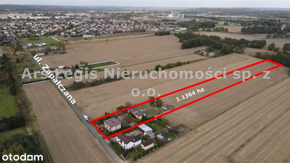 Dom, Turek