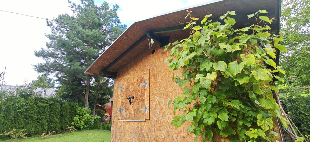 Działka ROD ul. Pryncypalna 400 m² - Widok 5