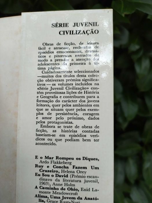 Sete pequenos pioneiros (A. Rutgers Van Der Loeff)