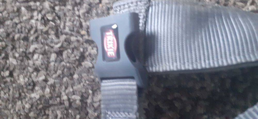 Szelki z obrożą dla psa