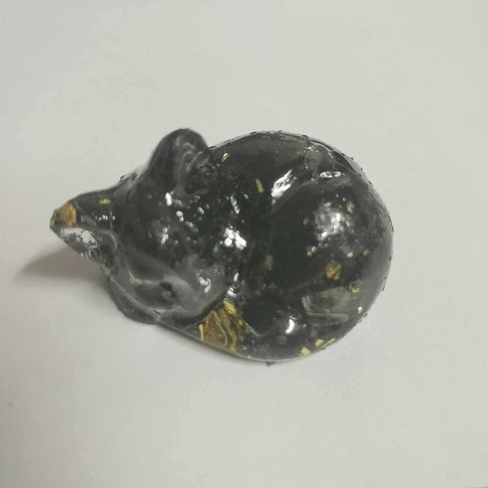 Gato a dormir em Resina