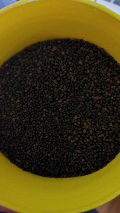 Granulado  ciclideos