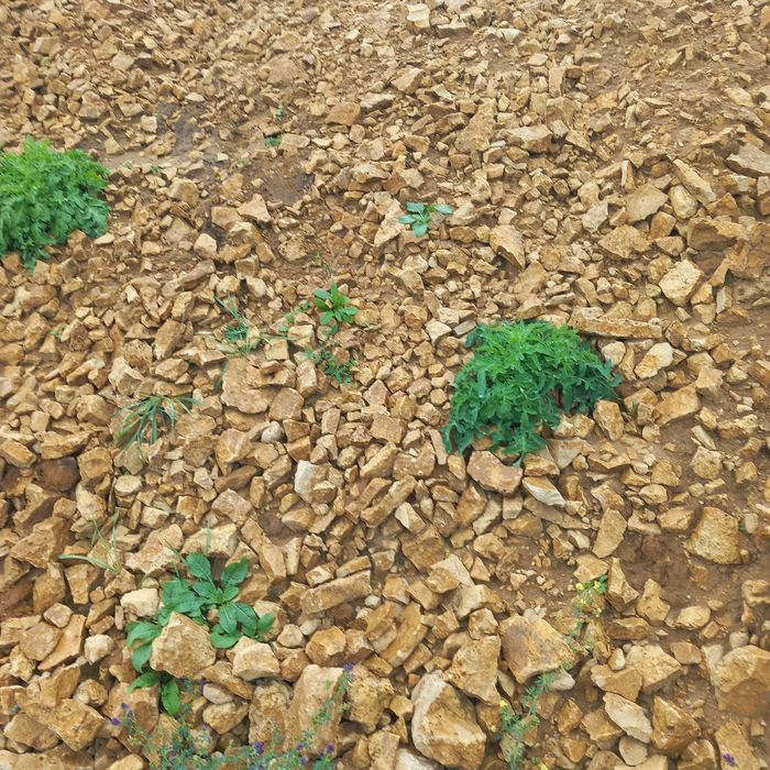 Kamień ,Tłuczeń, podbudowa drogowa 60 Ton.