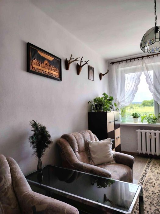 Zdjęcie 5
