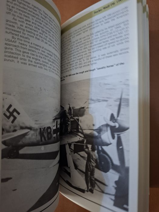 The illustrated directory of Fihters