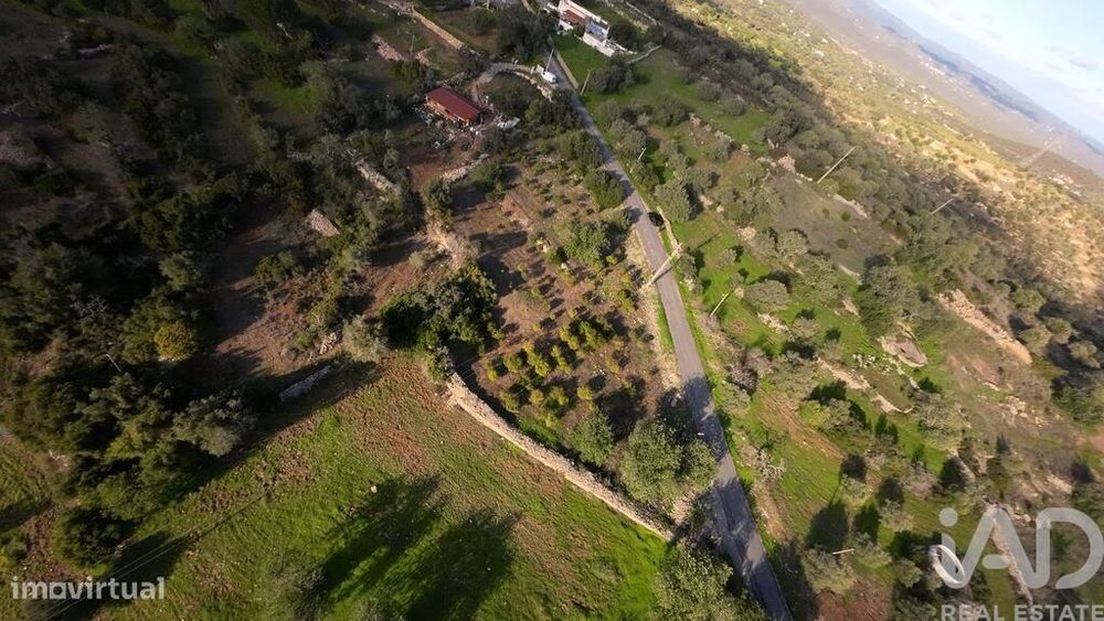 Terreno Agrícola em Conceição e Estoi