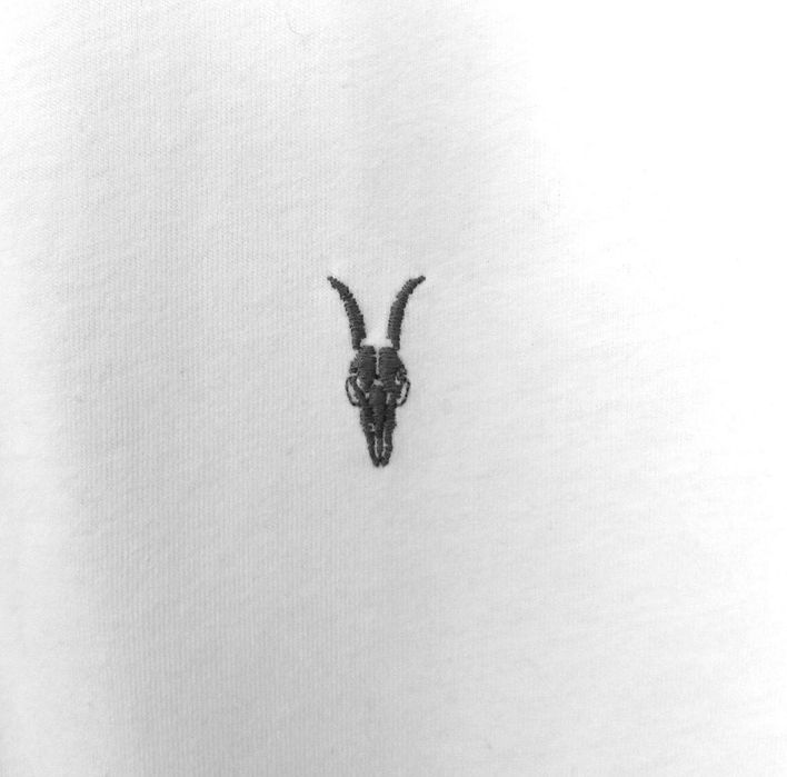 AllSaints - Brace__Koszulka polo / t-shirt biała kr.rękaw__M