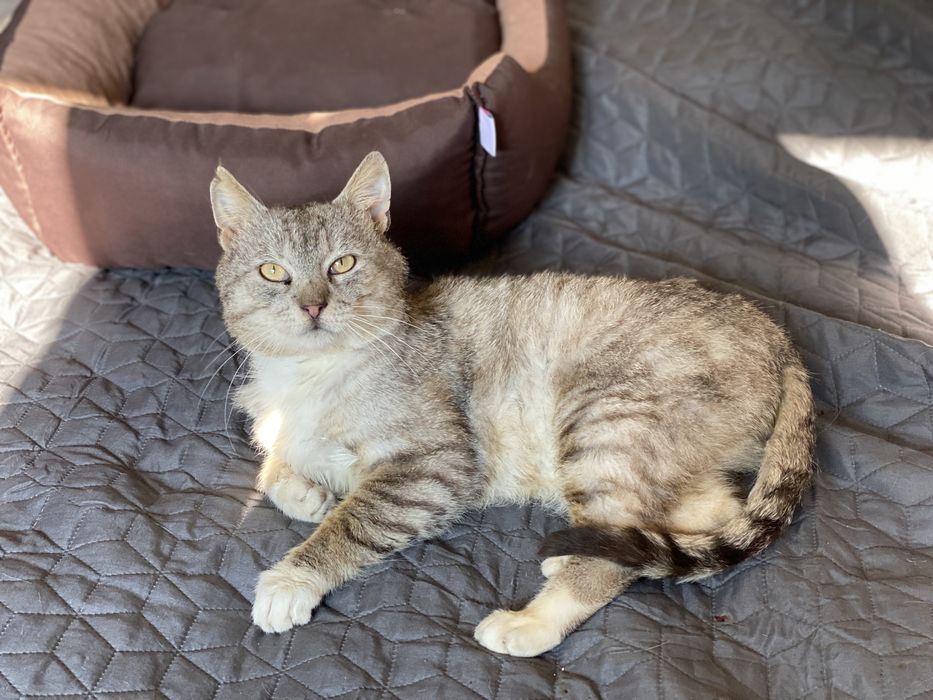 Książę William szuka domu