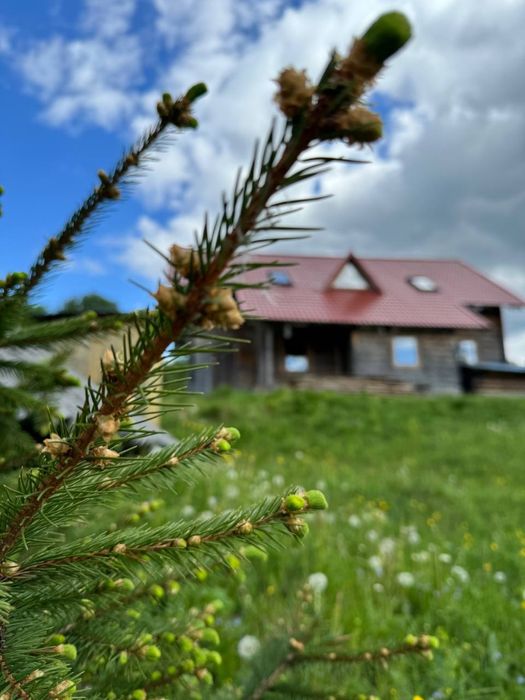 Будинок у мальовничому селі Космач