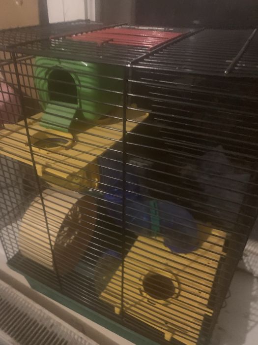 Джунгарські хоміки .Кліточки