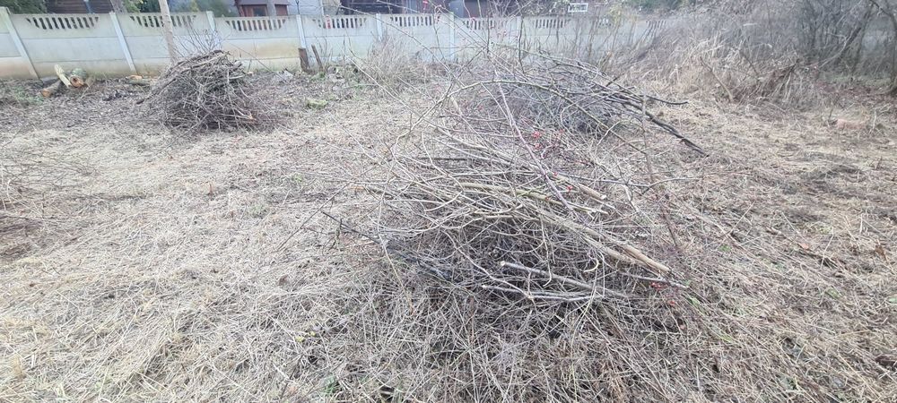 Oddam za darmo gałęzie cieńkie i grube, mix.